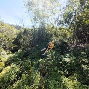 ZIPLINE FOREST ADVENTURE, KUALA KUBU BHARU