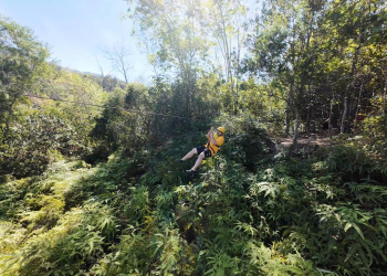 ZIPLINE FOREST ADVENTURE, KUALA KUBU BHARU