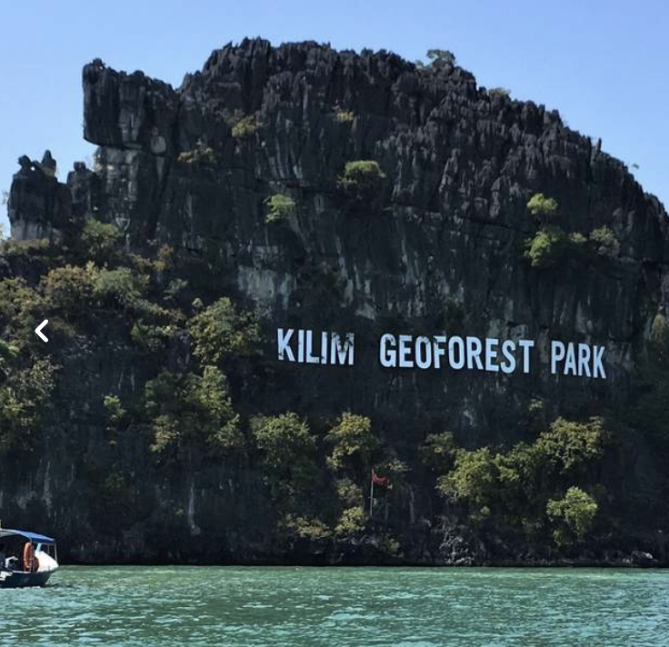 MANGROVE BOAT TOUR, LANGKAWI - Image 2
