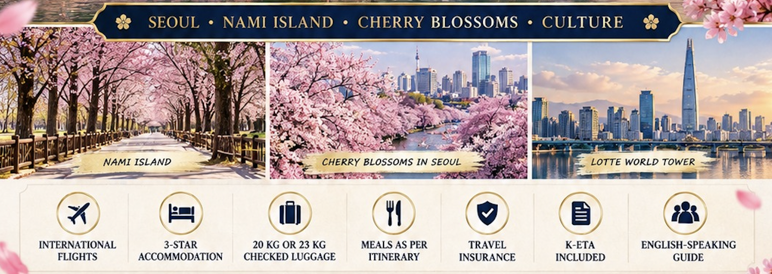 Promotion Banner