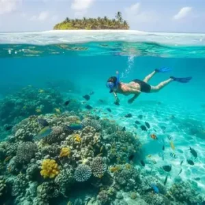 MANGROVE BOAT TOUR & SNORKELING, LANGKAWI